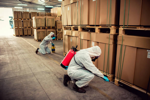 Best Pest Prevention Services  in Dubach, LA