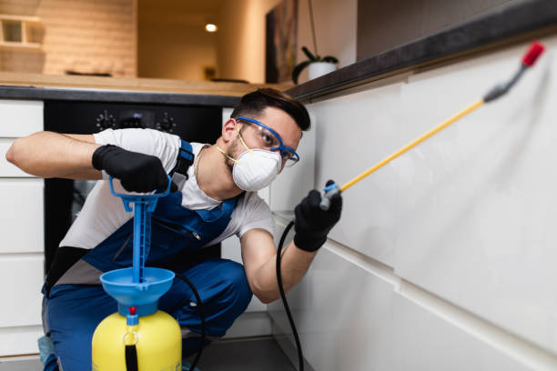 Pest Control for Restaurants in Dubach, LA
