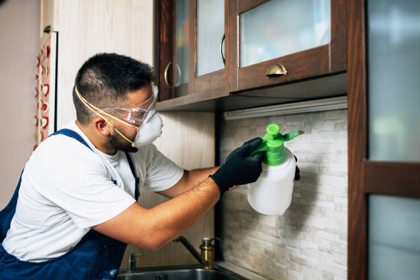 Best Best Pest Control Companies  in Dubach, LA