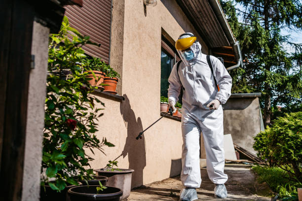 Best Bed Bug Extermination  in Dubach, LA