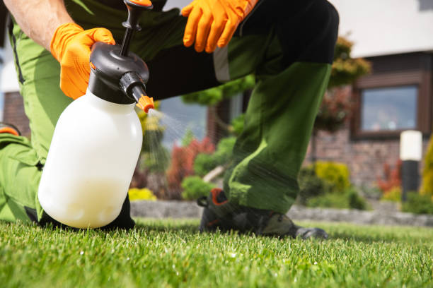 Professional Pest Control in Dubach, LA