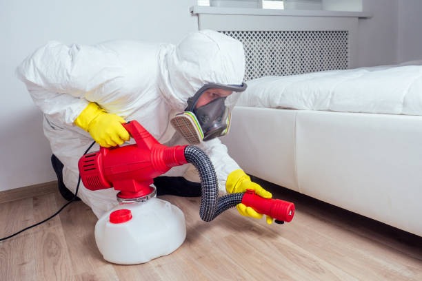 Best Exterminator Services  in Dubach, LA