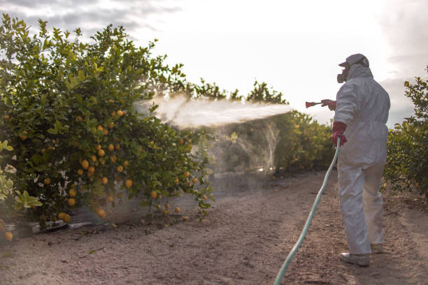 Best Commercial Pest Control Services  in Dubach, LA