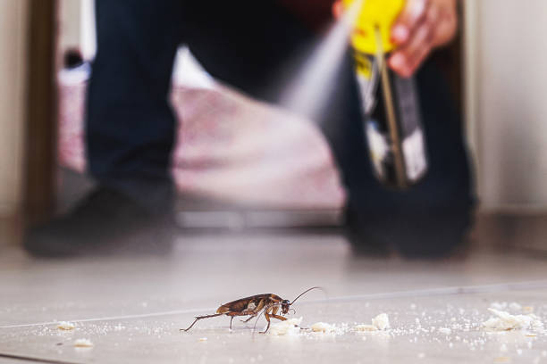 Best Cockroach Control Services  in Dubach, LA
