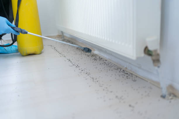 Best Pest Inspection Near Me  in Dubach, LA
