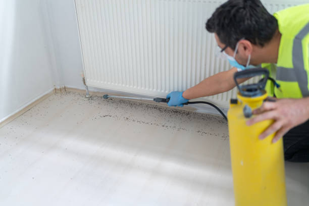 Best Pest Removal Services  in Dubach, LA