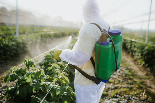 Best Best Pest Control Companies  in Dubach, LA